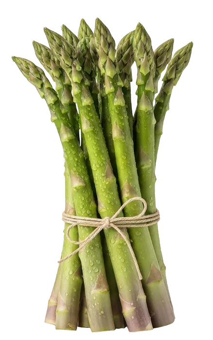 asperges
