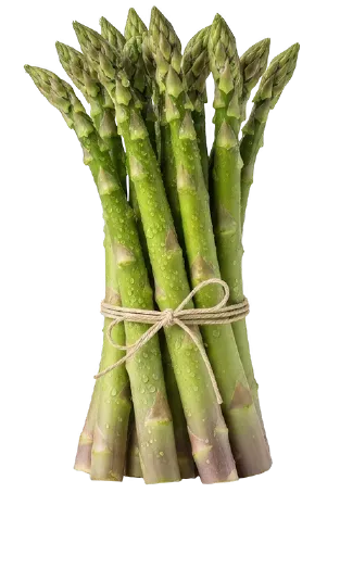 Maxime Renneteau asperge