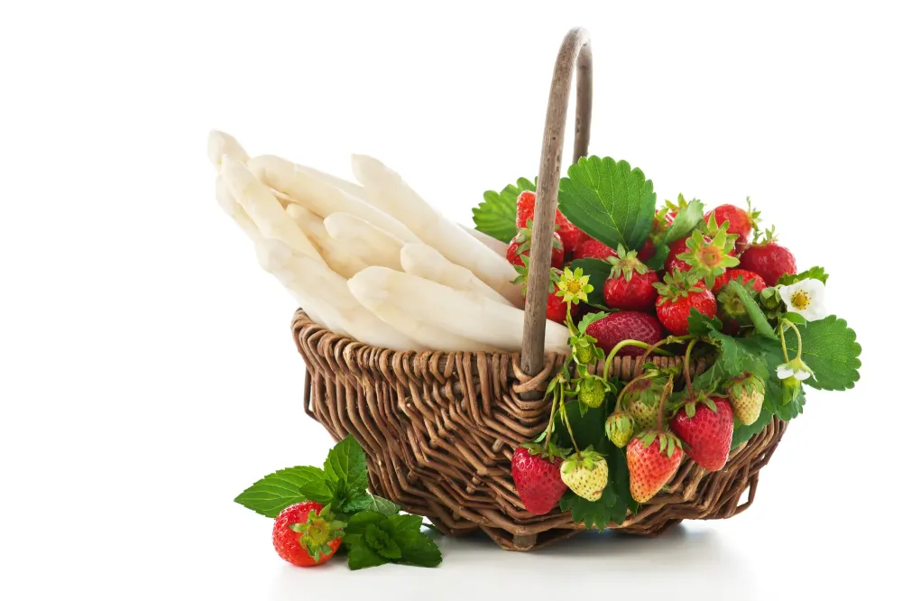 Maxime Renneteau (4)